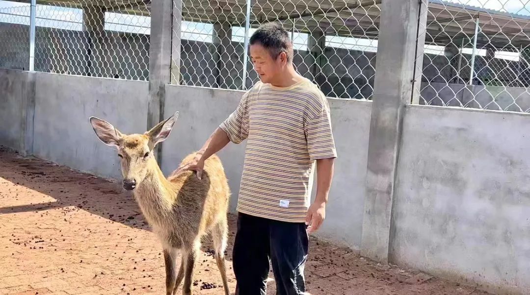 博万通娱乐平台官方网
