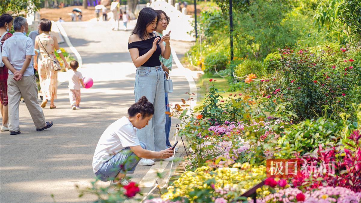 9州发布页